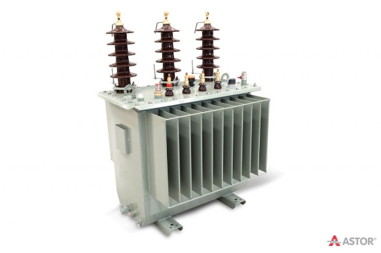 Hermetik Tip Transformatör 160kVA (A Plus) resmi